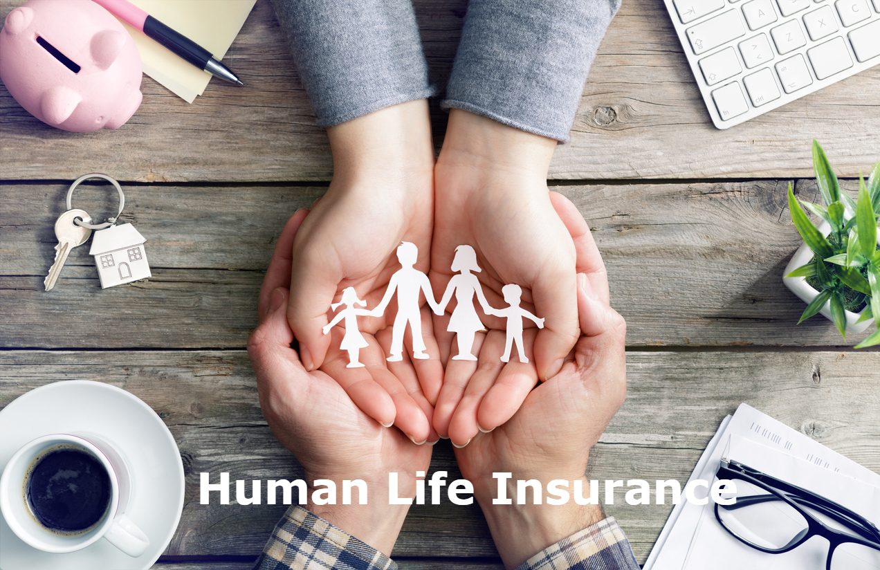 human life insurance